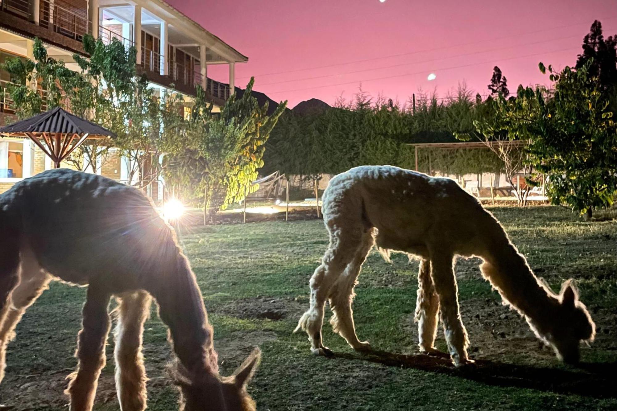 Runaway Eco Hotel Каруас Экстерьер фото